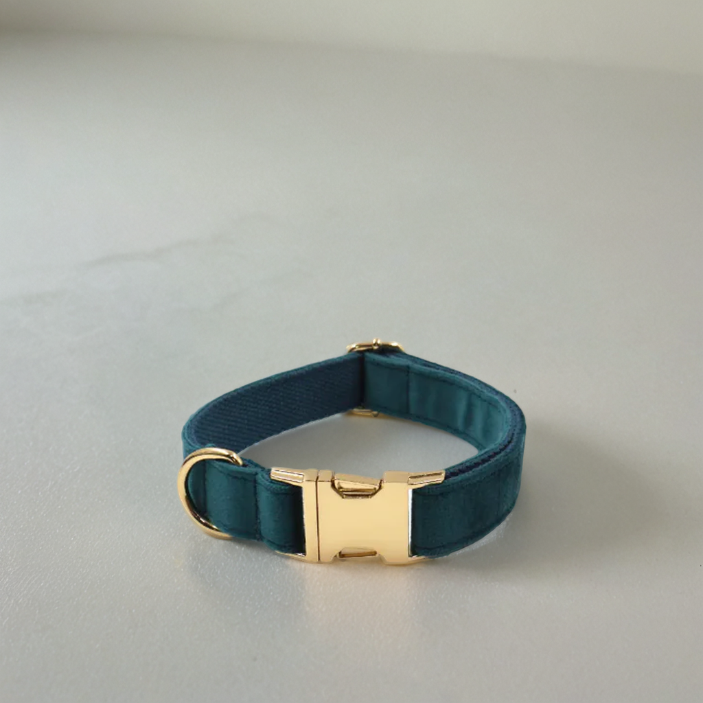 Gassi de Luxe – Samt & Gold für stilvolle Vierbeiner