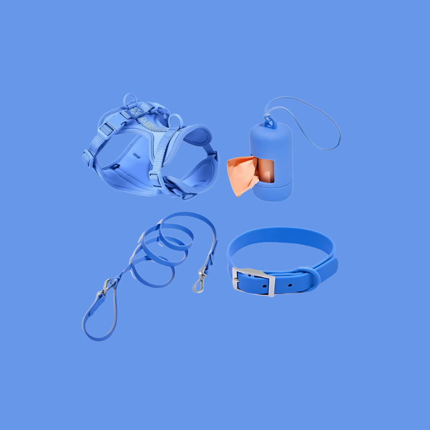 ActiveDog All-In-One-Set