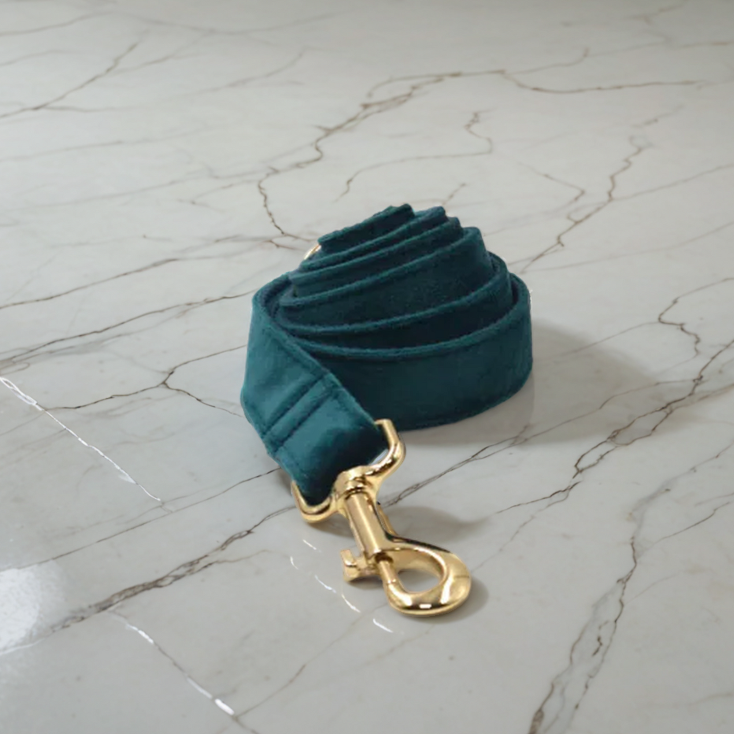 Gassi de Luxe – Samt & Gold für stilvolle Vierbeiner