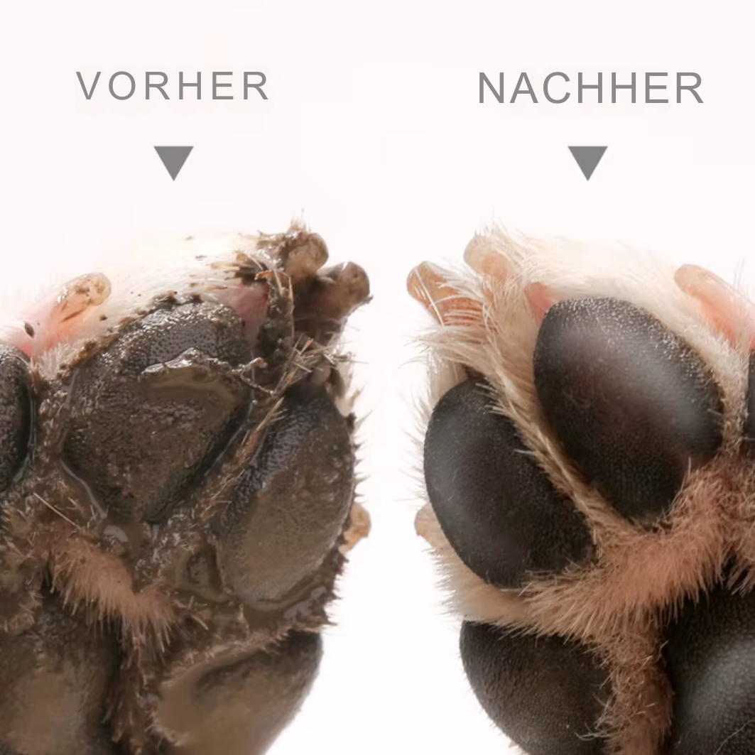 Pfotenreiniger