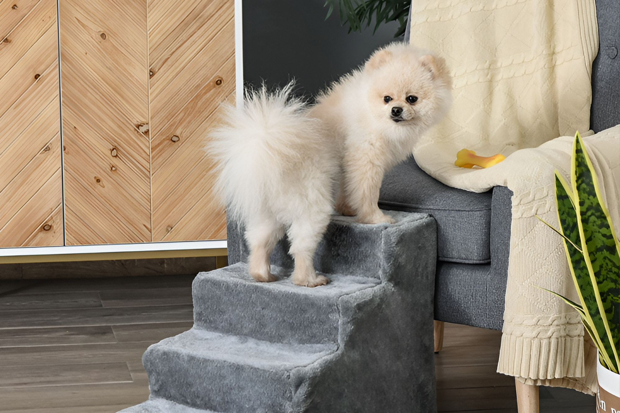 Warum jeder Tierhalter eine Sofa-Leiter braucht: Komfort, Sicherheit & Unabhängigkeit für deinen Hund