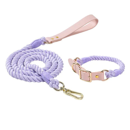 ColorJoy – Das bunte Sommer-Set für deinen Hund
