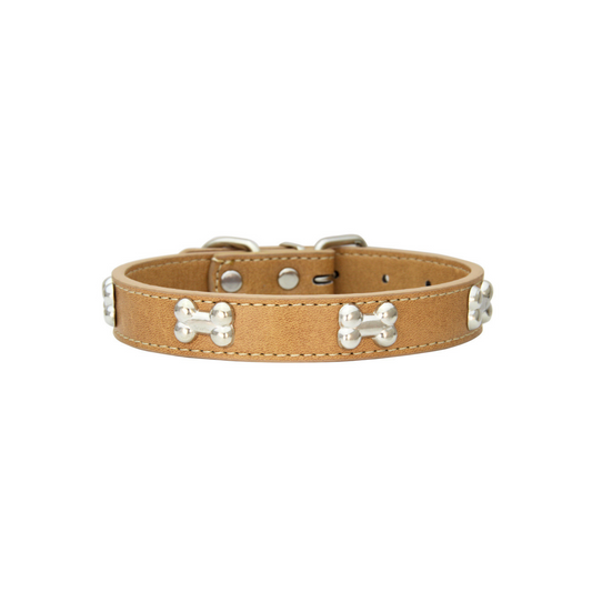 BoneStyle – Stylisches Hundehalsband mit Knochendetails