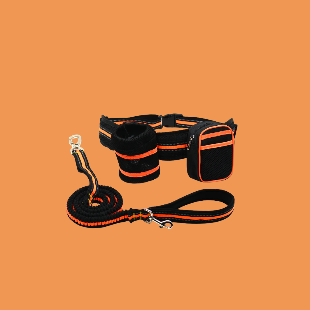 Reflektierendes Outdoor-Leinen-Set