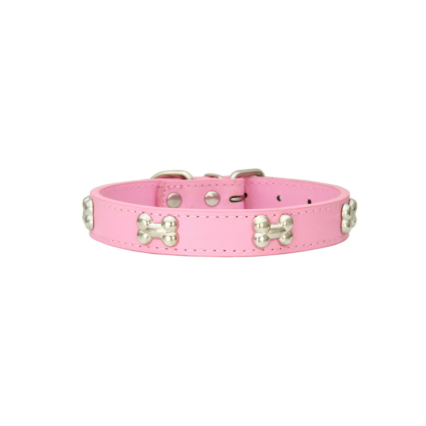 BoneStyle – Stylisches Hundehalsband mit Knochendetails