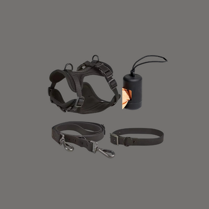 ActiveDog All-In-One-Set