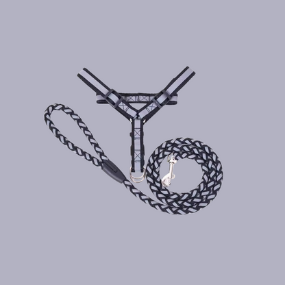 Dog Leash for Pets