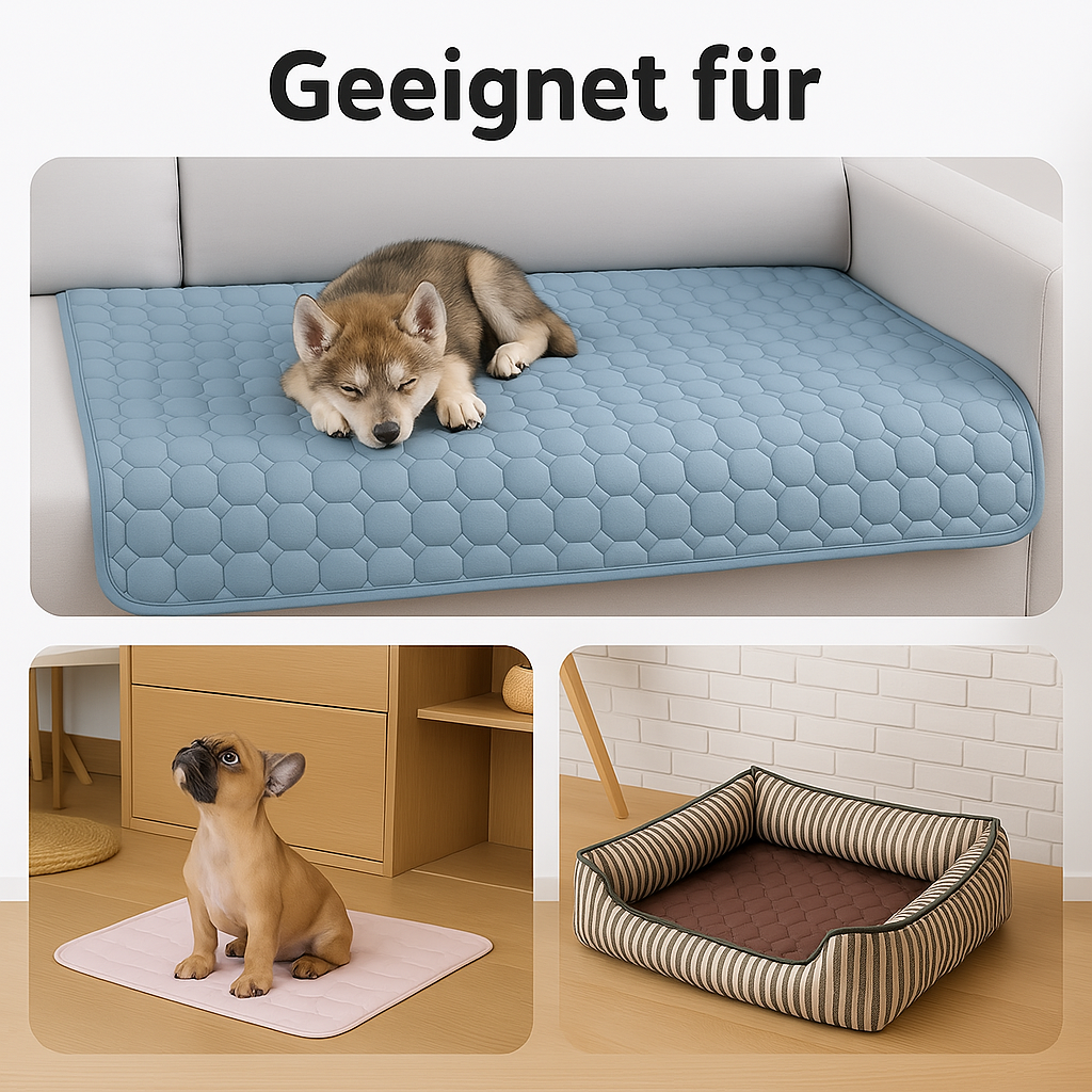 ChillBuddy - Die smarte Kühldecke für Hunde