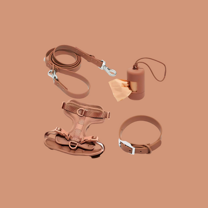 ActiveDog All-In-One-Set