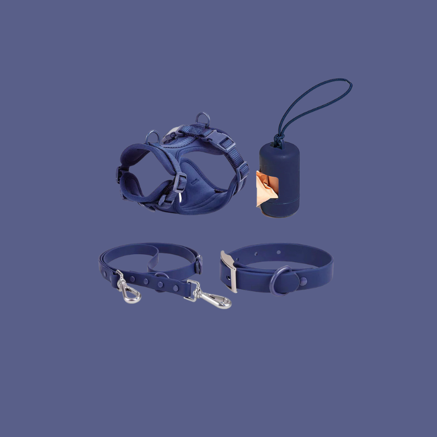ActiveDog All-In-One-Set