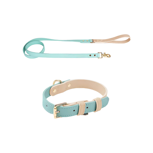 Leder Hundeleine & Halsband in Mintfarben