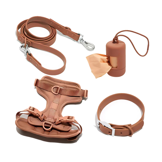 ActiveDog All-In-One Sommer-Set