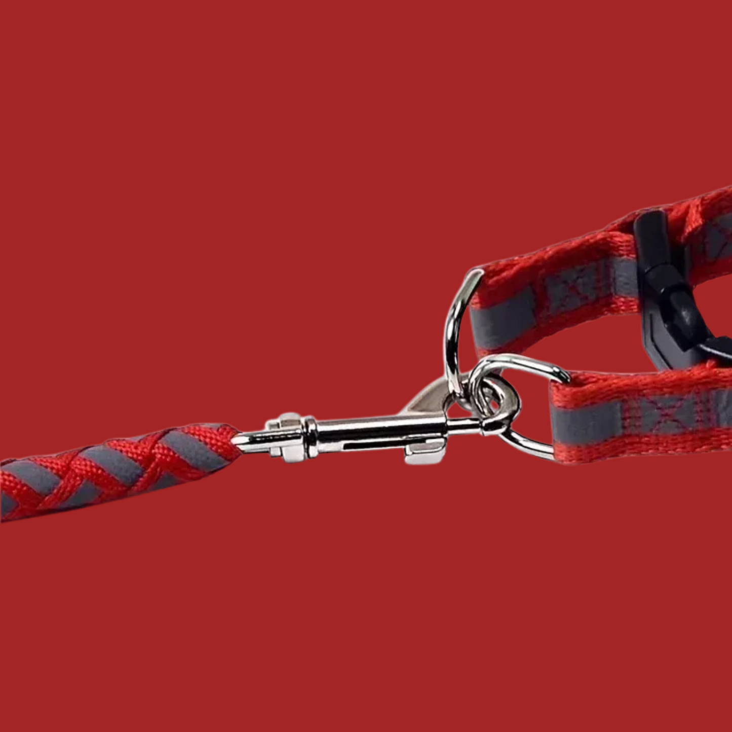 Dog Leash for Pets