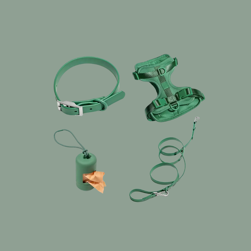 ActiveDog All-In-One-Set