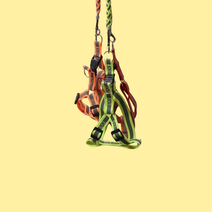 Dog Leash for Pets
