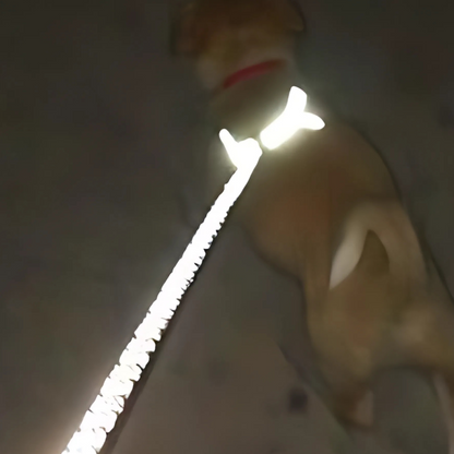 Dog Leash for Pets