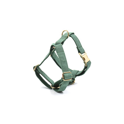 Cord’n’Go – Grünes Hunde-Set aus Cord mit Leine, Geschirr & Beutelspender
