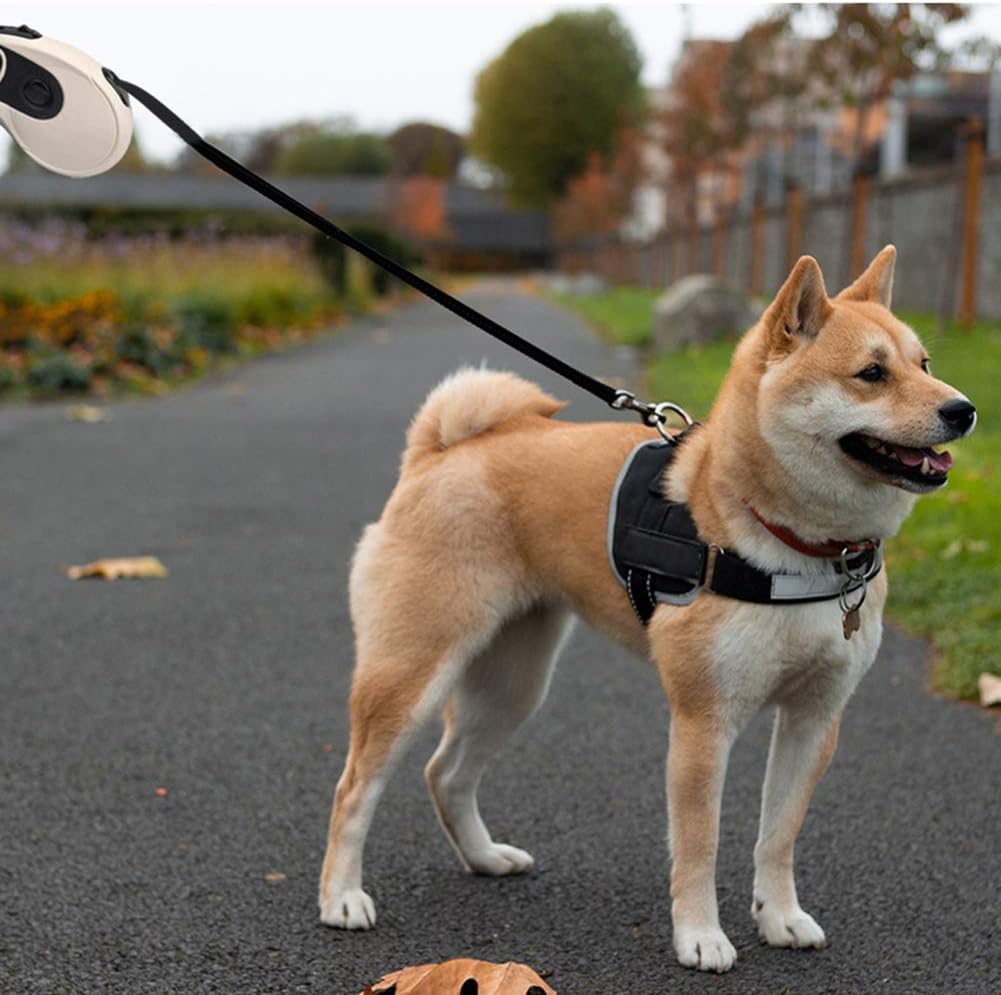 Retractable dog leash with poop bag box