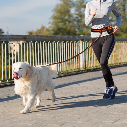 Reflektierendes Outdoor-Leinen-Set