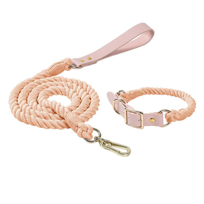 ColorJoy – Das bunte Sommer-Set für deinen Hund