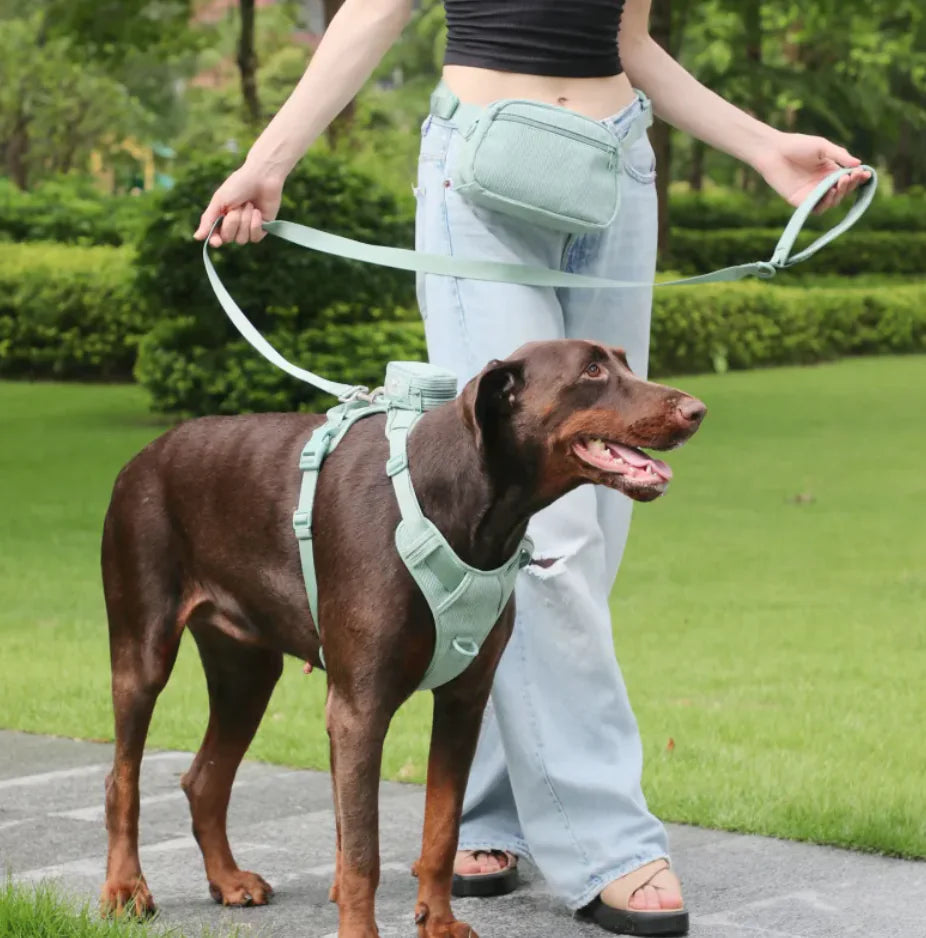 No-Pull Dog Harness Vest with Leash Set