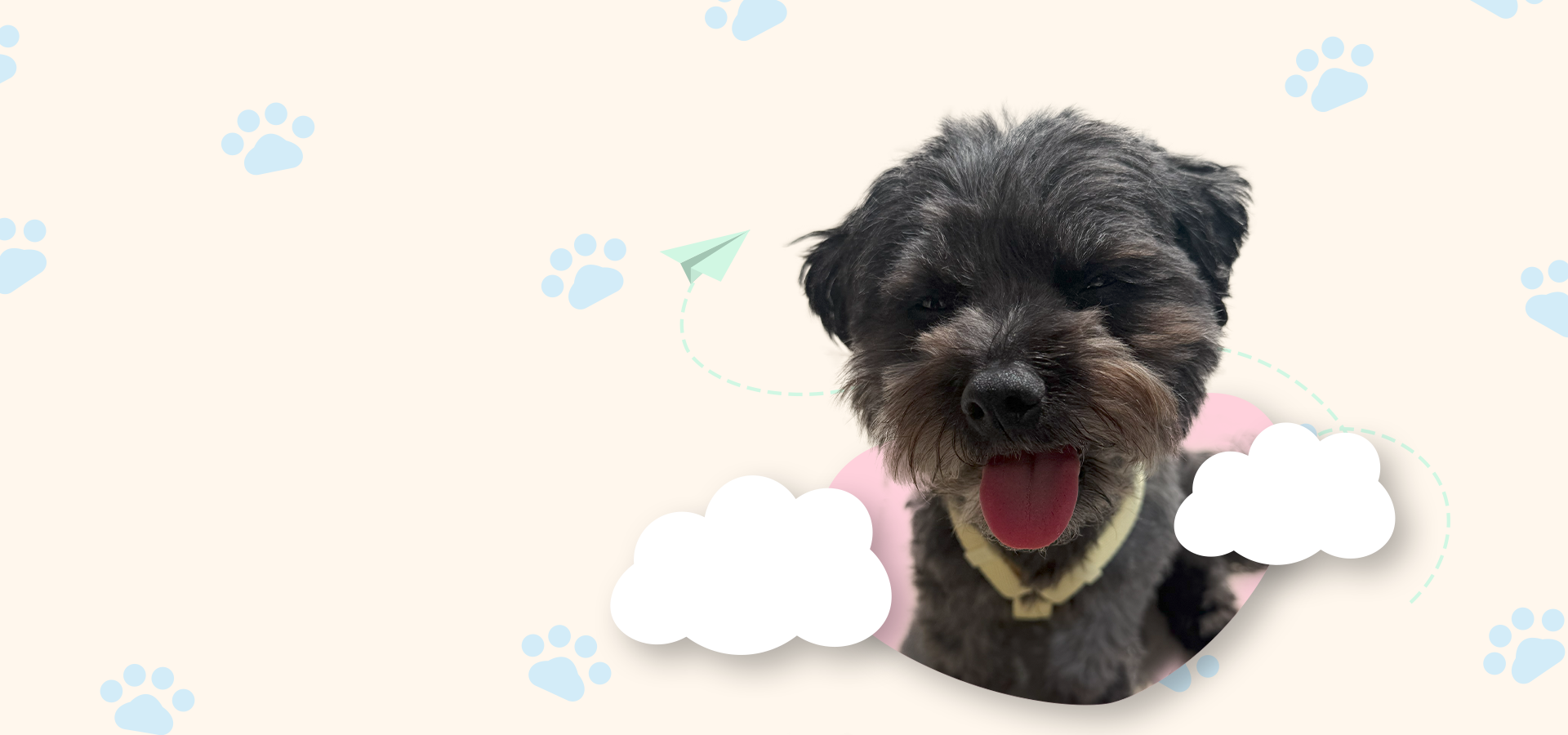 slider image 1621243260e1af0c20-2