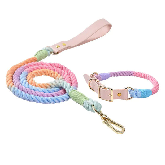 ColorJoy – Das bunte Sommer-Set für deinen Hund