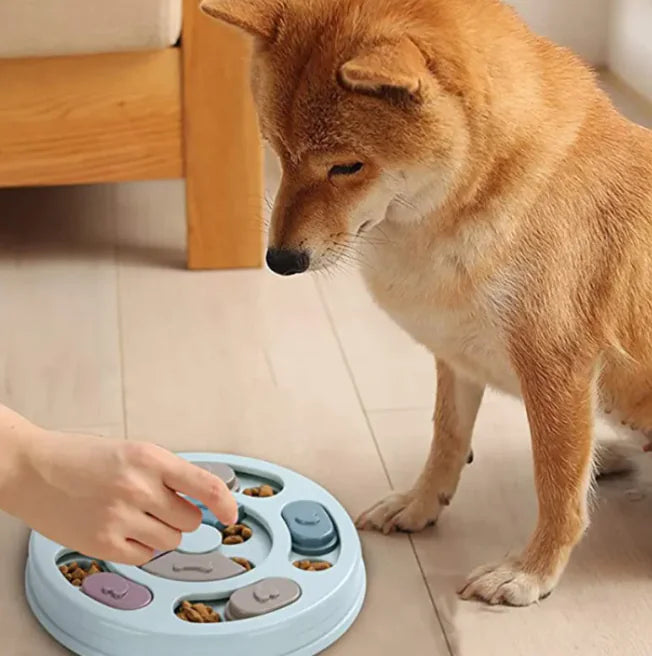 Interactive dog food bowl in puzzle design – Promotes fun, healthy digestion &amp; slow feeding for your dog