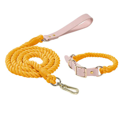 ColorJoy – Das bunte Sommer-Set für deinen Hund
