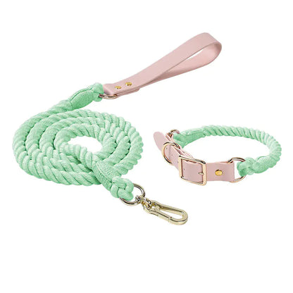 ColorJoy – Das bunte Sommer-Set für deinen Hund
