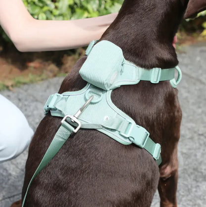No-Pull Dog Harness Vest with Leash Set