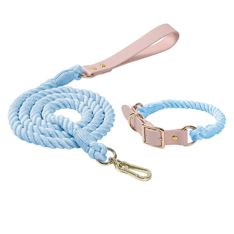ColorJoy – Das bunte Sommer-Set für deinen Hund