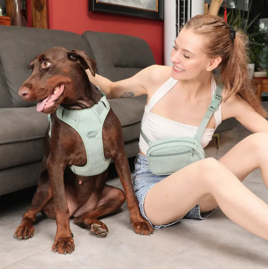 No-Pull Dog Harness Vest with Leash Set
