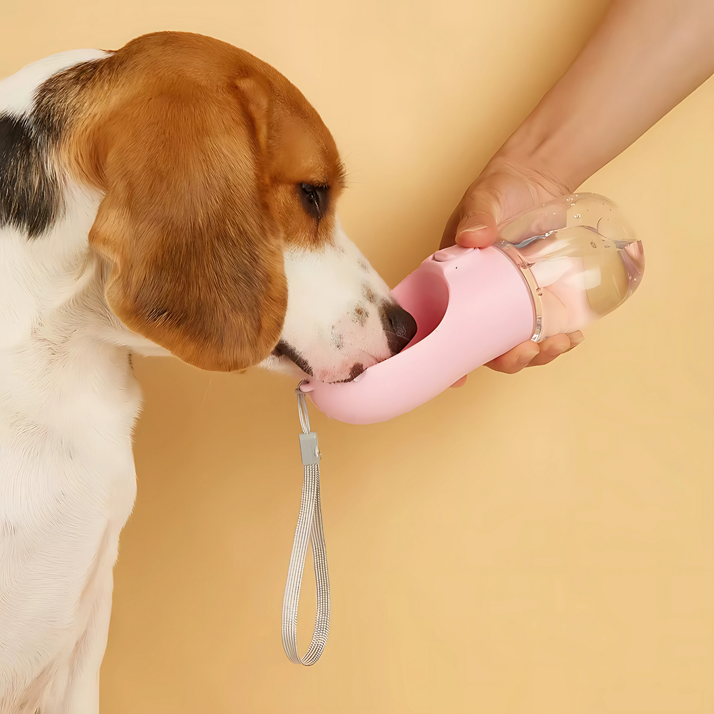 Ivy's Dog Drinking Bottle – Compact, hygienic &amp; easy to use
