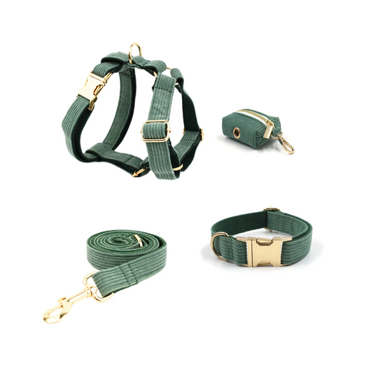 Cord’n’Go – Grünes Hunde-Set aus Cord mit Leine, Geschirr & Beutelspender