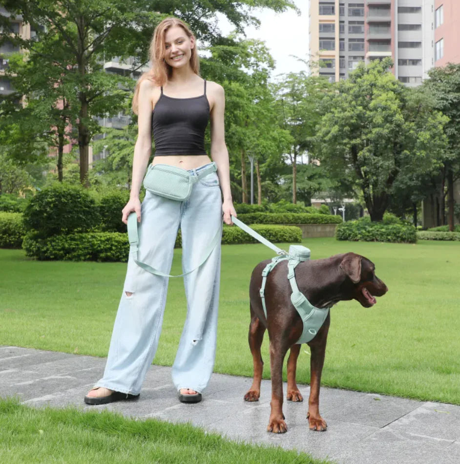 No-Pull Dog Harness Vest with Leash Set