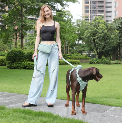 No-Pull Dog Harness Vest with Leash Set
